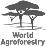 Logo Icraf